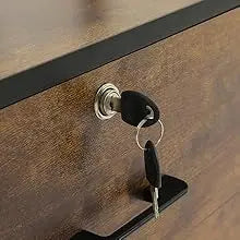 2 Drawer File Cabinet with Lock,Fits Letter, Legal, A4 Size, Hanging File Folders,Adjustable Storage Shelf and Hook,Rustic Brown